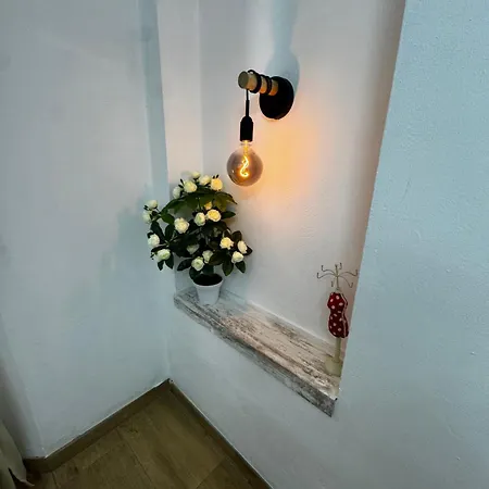 29 Appartement Bologne
